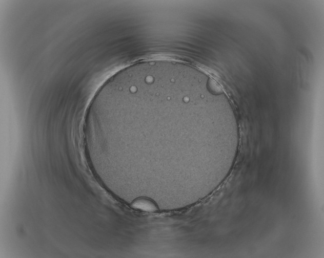 X0000114200289200911061430