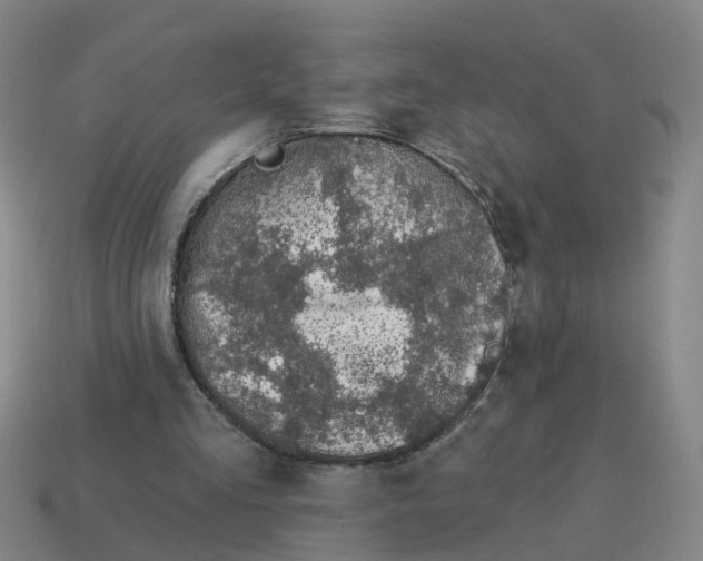 X0000114200293200911061430