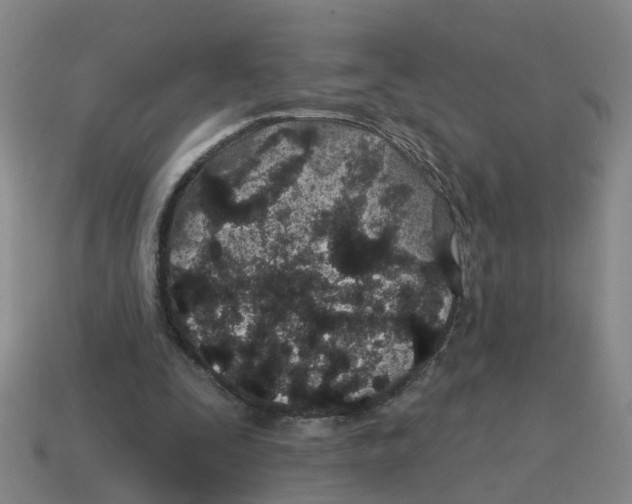 X0000114200295200911061430