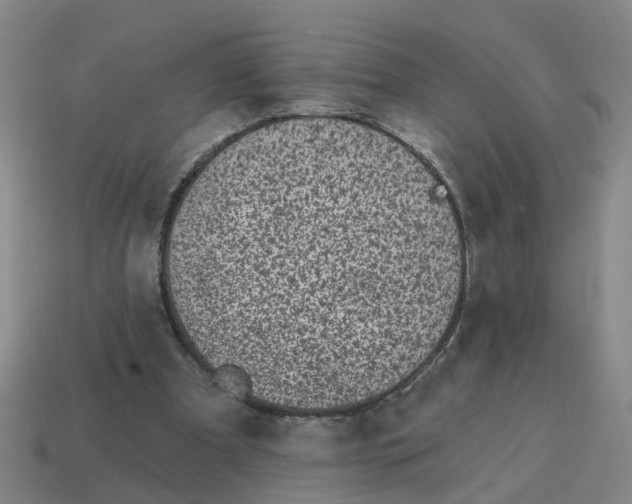 X0000114200297200911061430