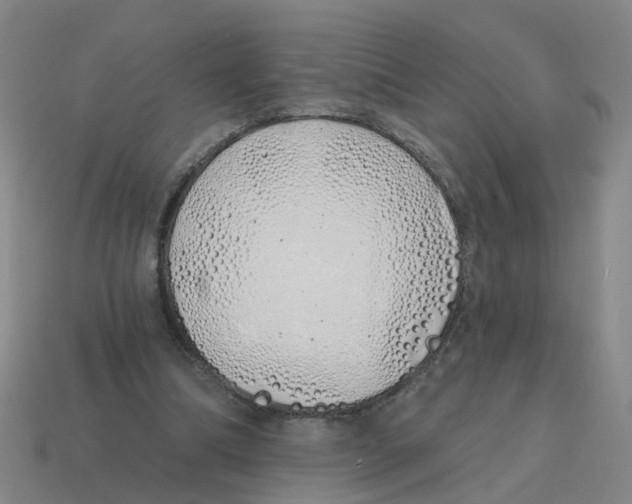 X0000114200298200911061430