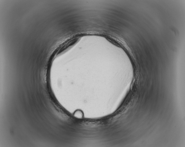 X0000114200299200911061430