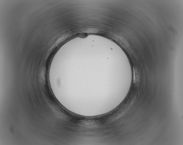 X0000114200300200911061430