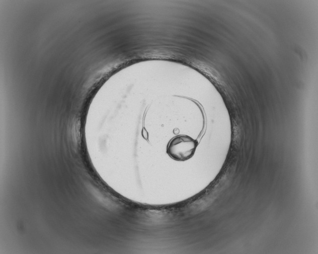 X0000114200302200911061430