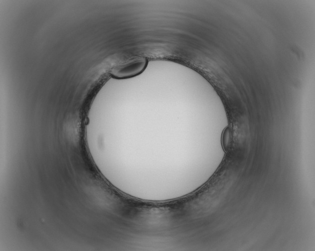 X0000114200304200911061430