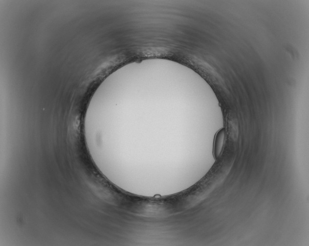 X0000114200308200911061430