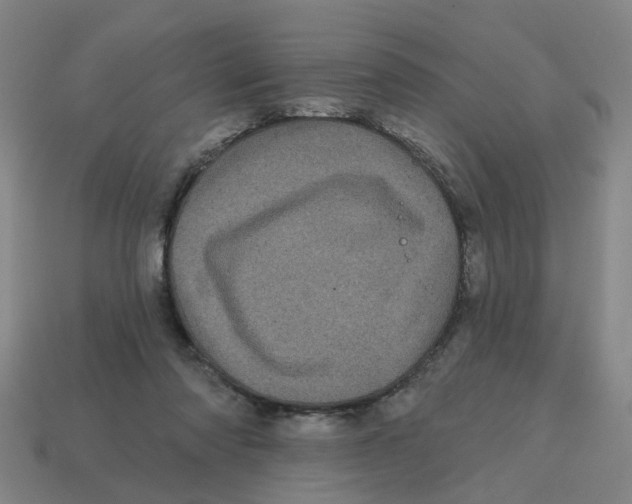 X0000114200310200911061430