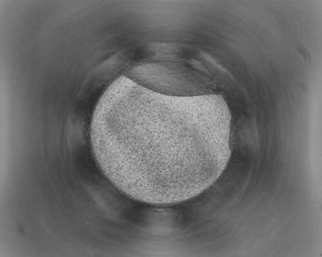 X0000114200316200911061430