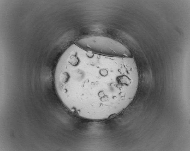 X0000114200320200911061430