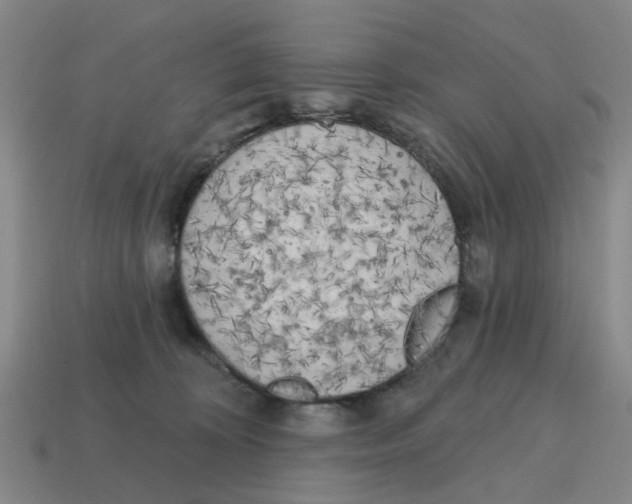 X0000114200324200911061429