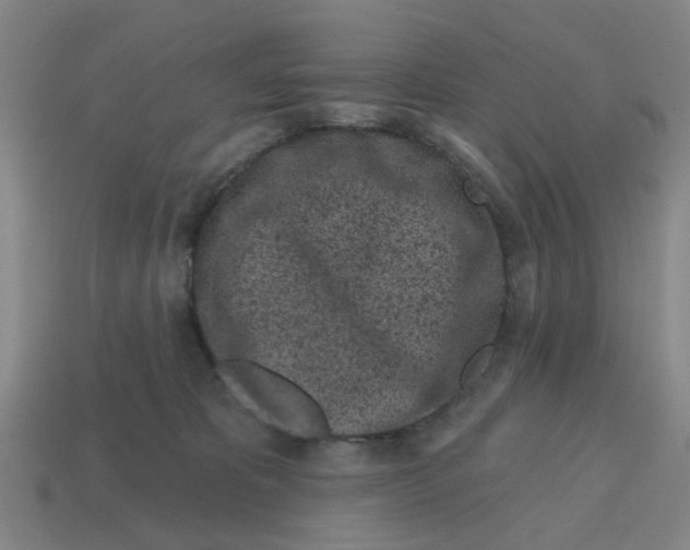 X0000114200325200911061429