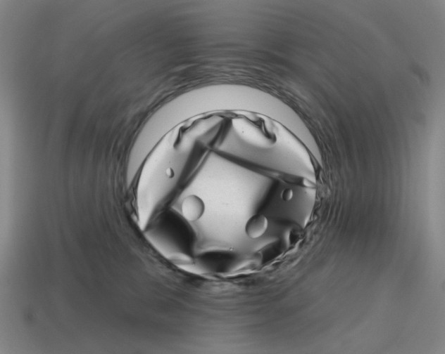 X0000114200327200911061429