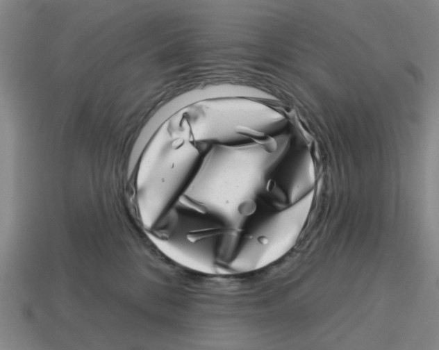 X0000114200328200911061429