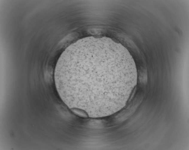 X0000114200332200911061429