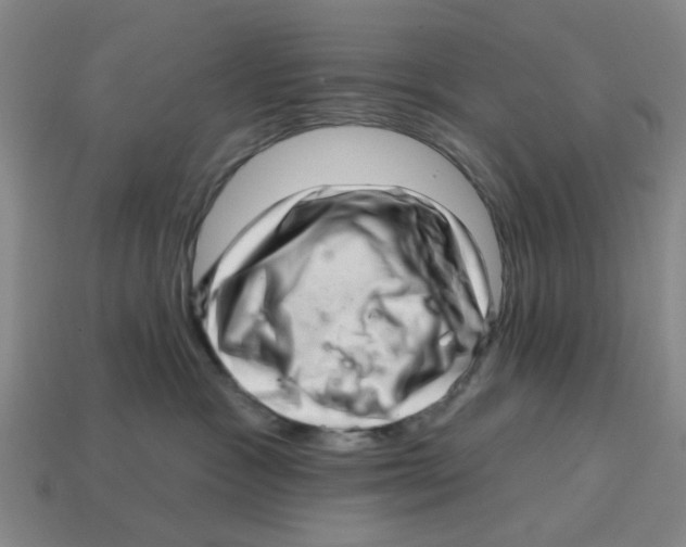 X0000114200333200911061429