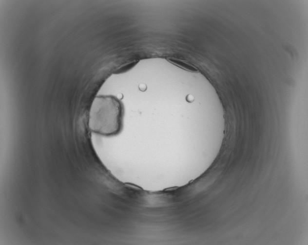 X0000114200336200911061429