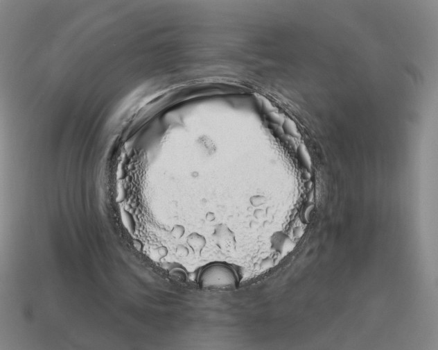 X0000114200339200911061429