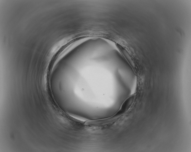 X0000114200340200911061429