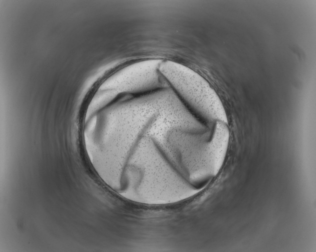 X0000114200342200911061429