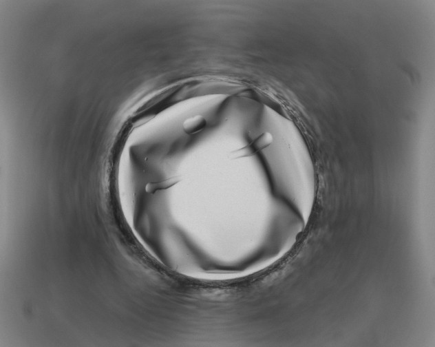 X0000114200344200911061429