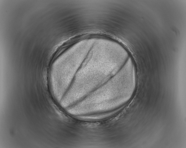 X0000114200345200911061429