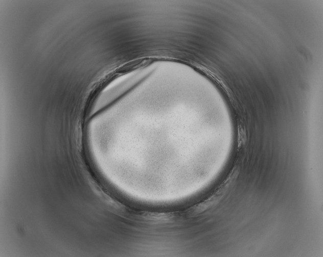 X0000114200349200911061429