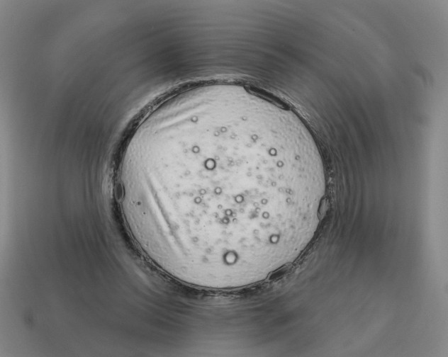 X0000114200350200911061429