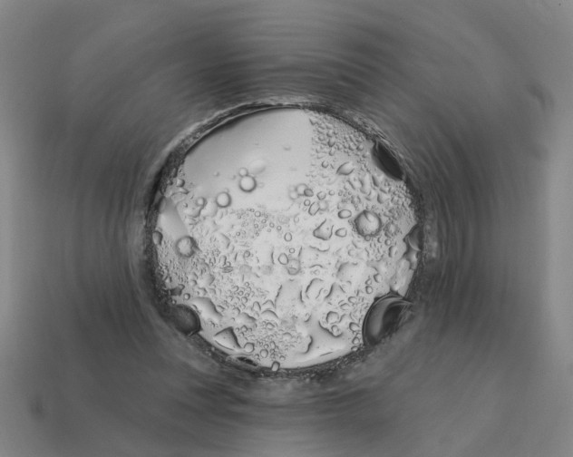 X0000114200351200911061429