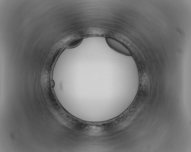 X0000114200352200911061429