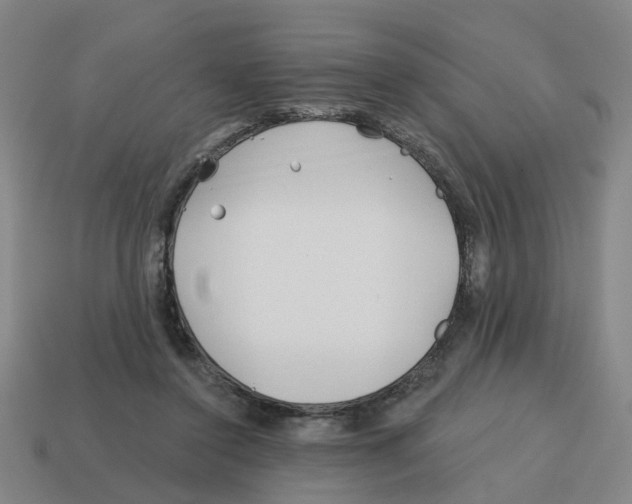 X0000114200356200911061429