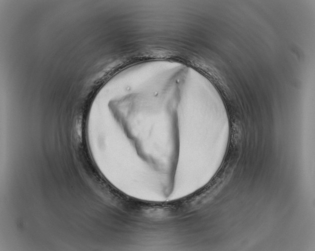 X0000114200358200911061429