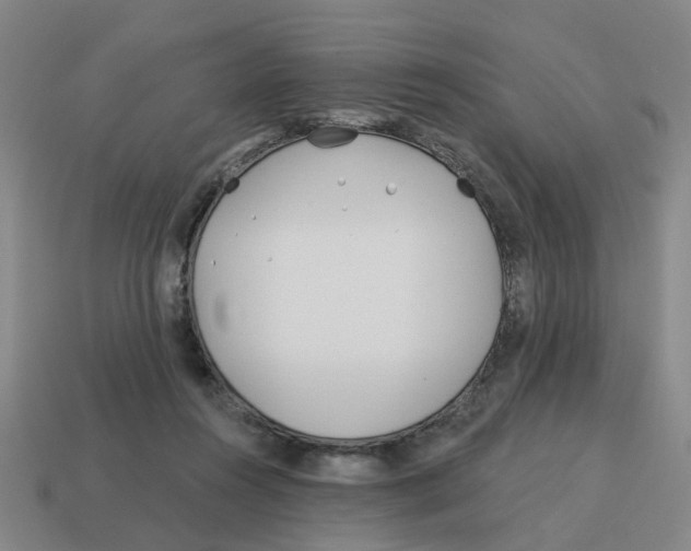 X0000114200360200911061429