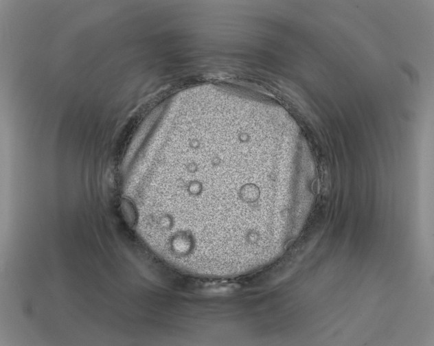 X0000114200363200911061429