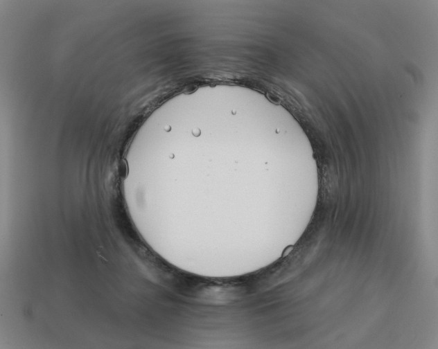 X0000114200364200911061429