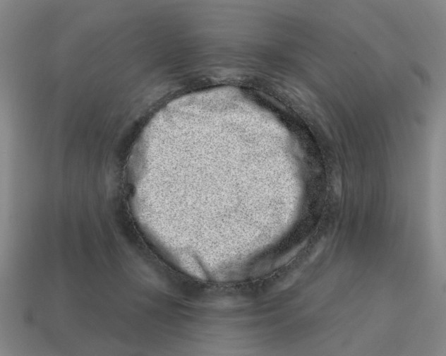 X0000114200367200911061429