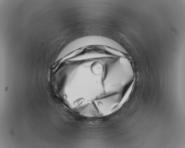 X0000114200368200911061429