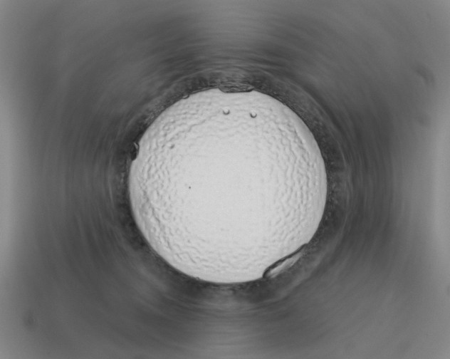 X0000114200372200911061429