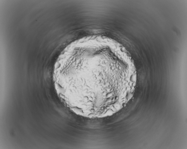 X0000114200373200911061429