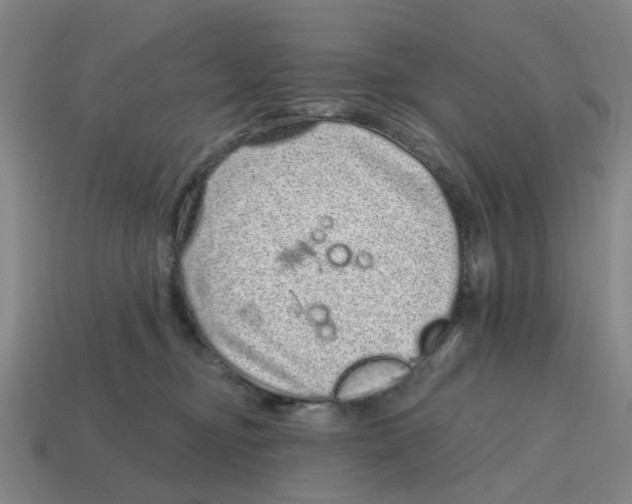 X0000114200374200911061429