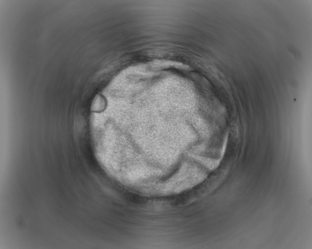 X0000114200375200911061429