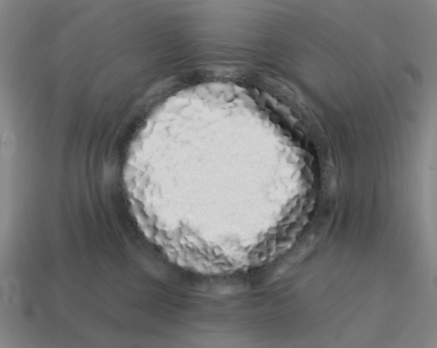 X0000114200377200911061429