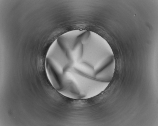 X0000114200378200911061429