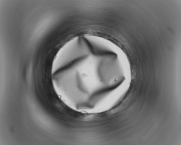 X0000114200382200911061429