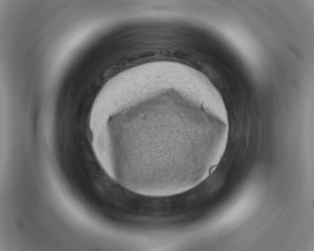 X0000114200383200911061429