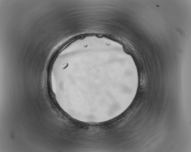 X0000114200388200911061429