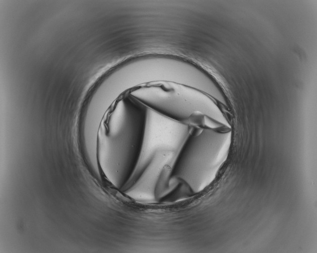 X0000114200391200911061429