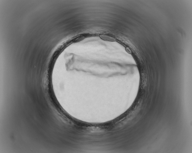 X0000114200392200911061429