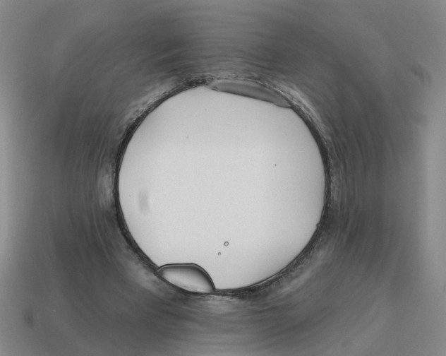 X0000114200393200911061429