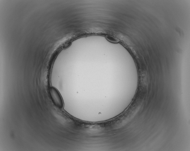 X0000114200395200911061429