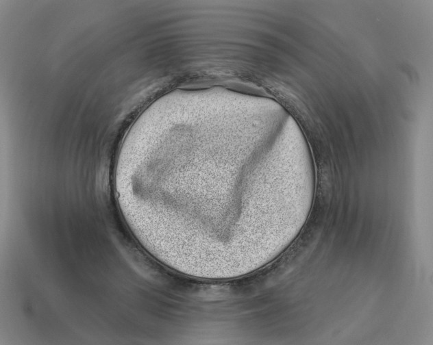 X0000114200398200911061429